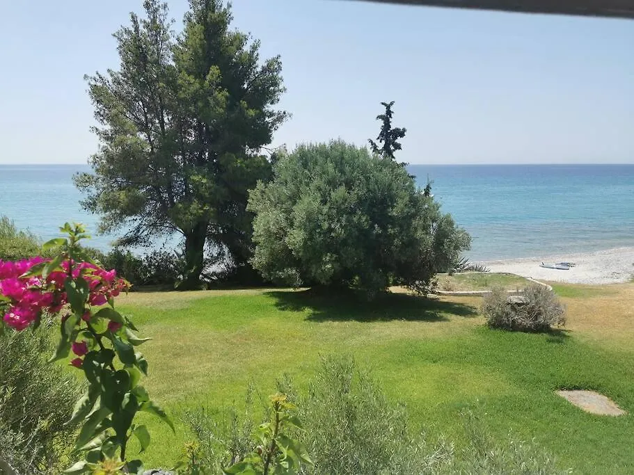 Απέραντο Γαλάζιο Le Grand Blue Apartment Mola Kalyva