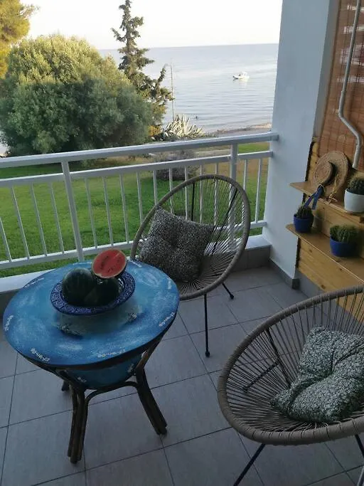 Απέραντο Γαλάζιο Le Grand Blue Apartment Mola Kalyva