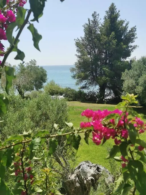 Απέραντο Γαλάζιο Le Grand Blue Apartment Mola Kalyva 0*,