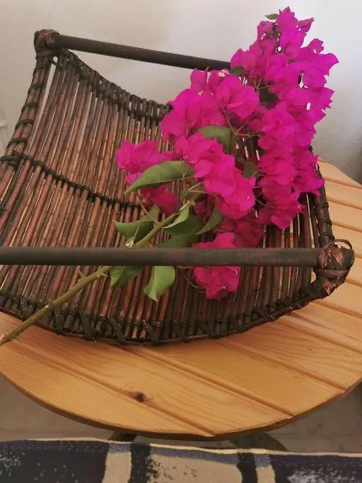 Απέραντο Γαλάζιο Le Grand Blue Apartment Mola Kalyva